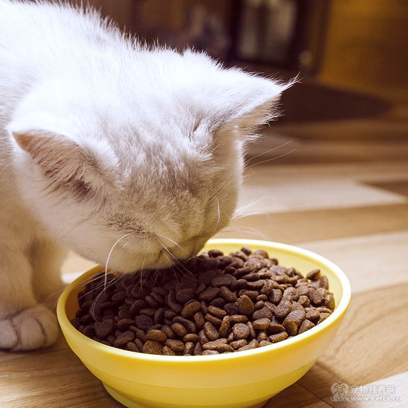 别人送了猫粮 猫咪可不可以两种猫粮一起吃